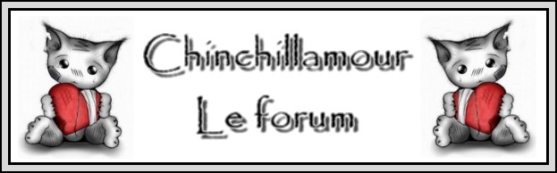 Chinchillamour