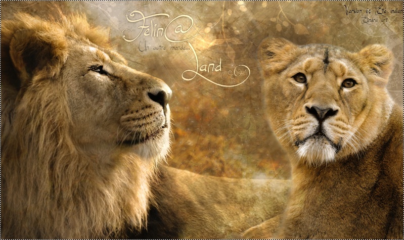 Felin@ Land