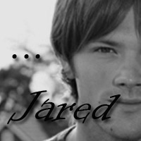 All About Jared