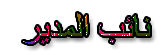 نائب المدير نائب المدير