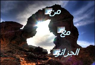 المتواجدون الآن ؟