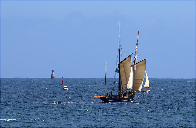 canc0310.jpg